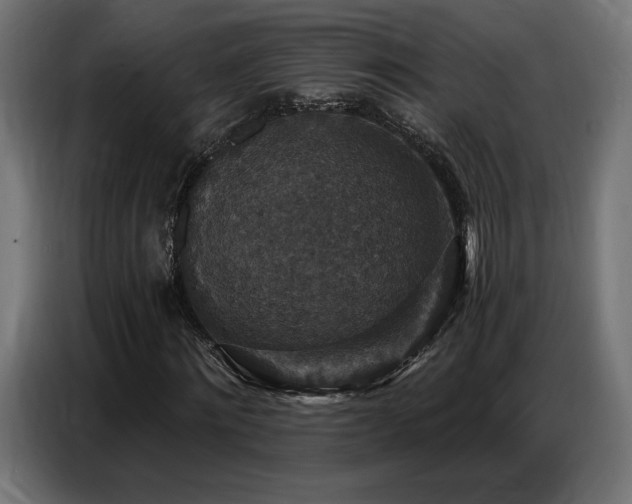 X0000086880868200704161219