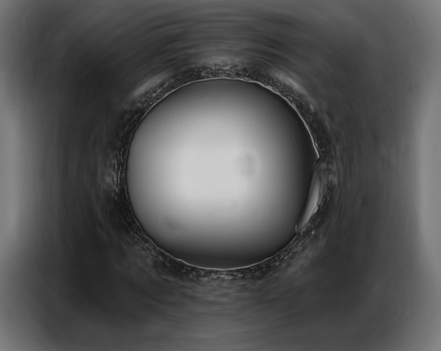 X0000086880869200704161219