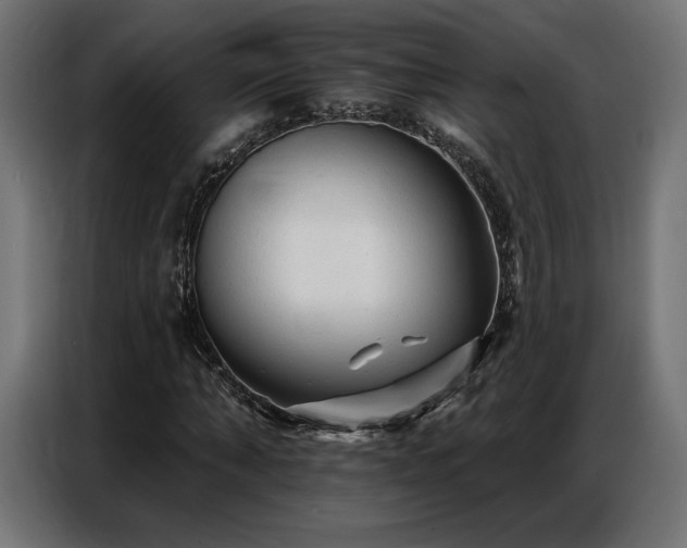 X0000086880870200704161219