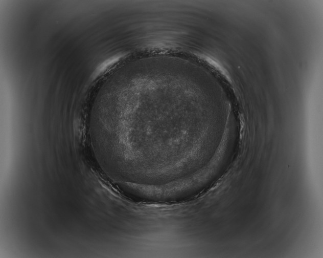 X0000086880872200704161218