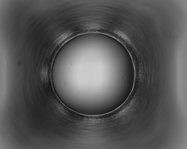 X0000086880873200704161218