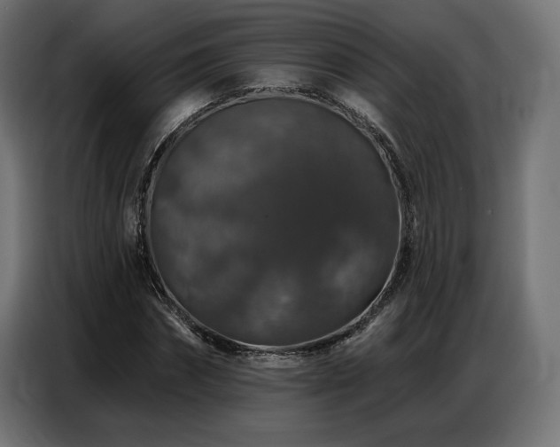 X0000086880874200704161218