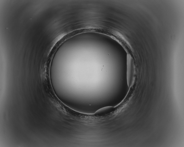 X0000086880875200704161218