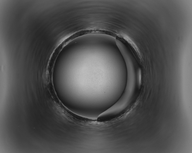 X0000086880876200704161218