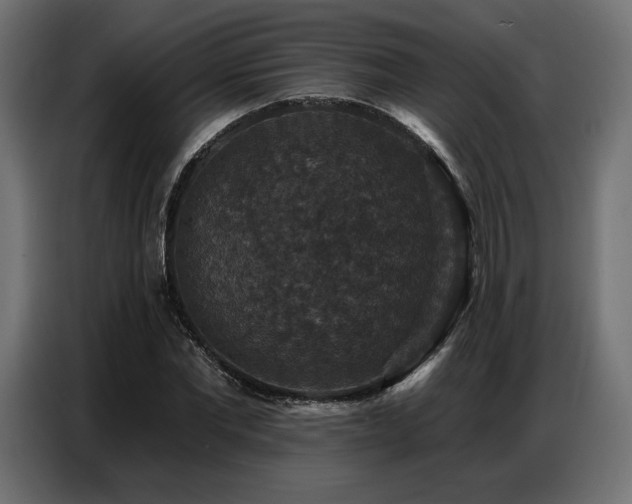 X0000086880877200704161218