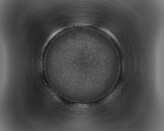 X0000086880878200704161218