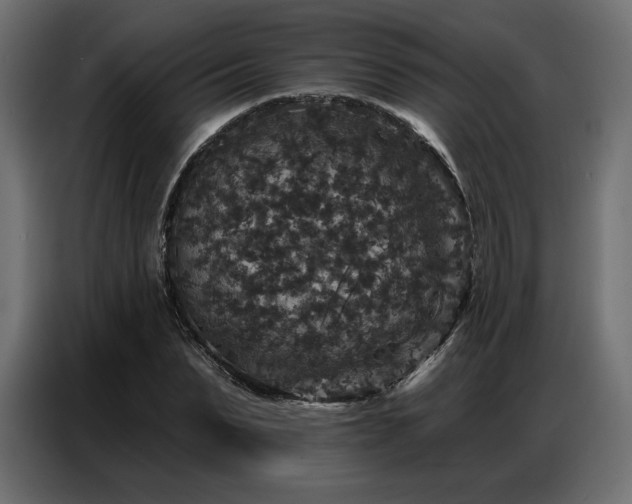 X0000086880879200704161218