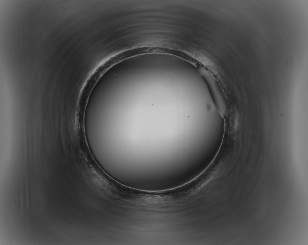 X0000086880880200704161218