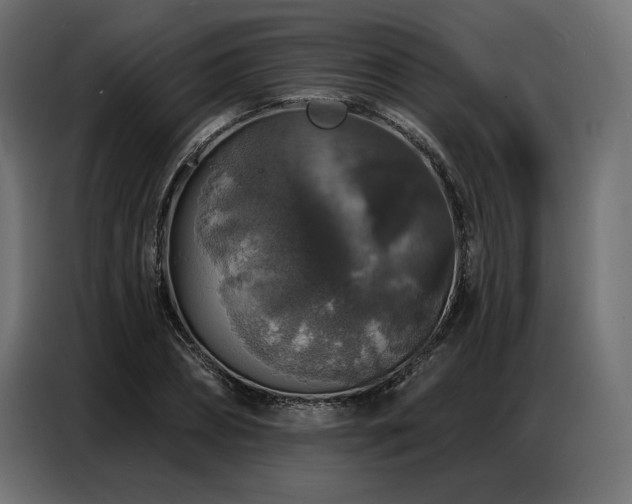 X0000086880882200704161218