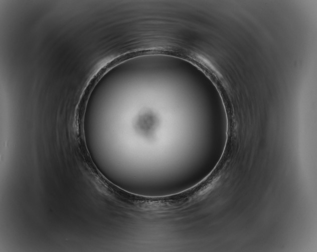 X0000086880883200704161218