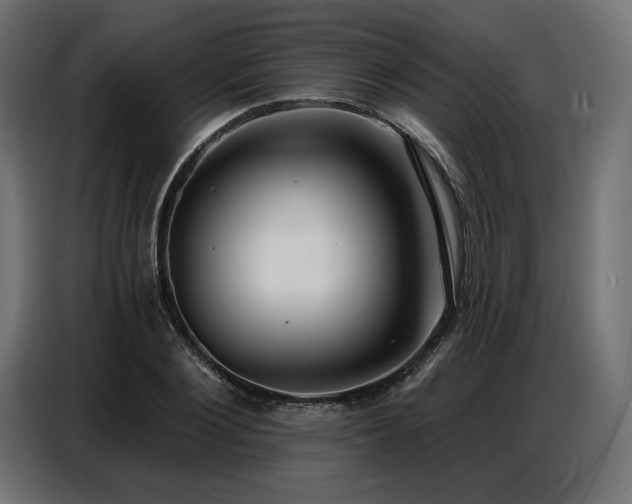 X0000086880884200704161218