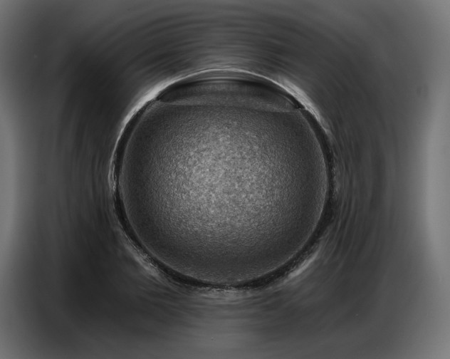 X0000086880885200704161218