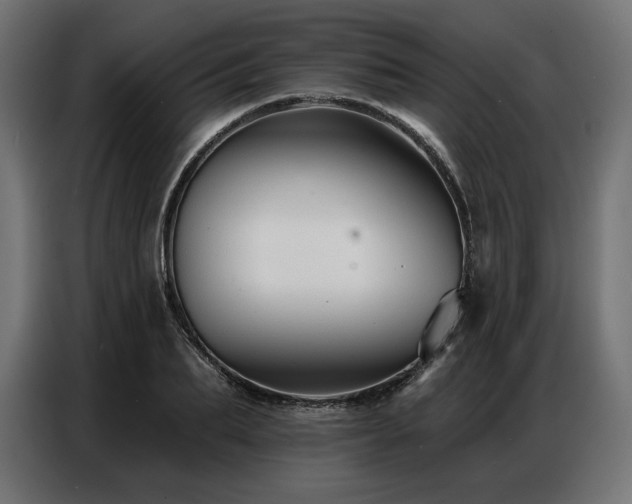 X0000086880887200704161218