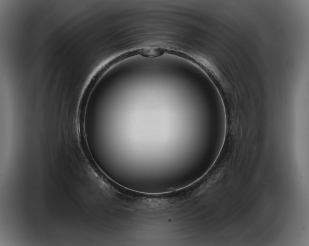 X0000086880888200704161218