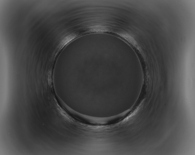 X0000086880889200704161218