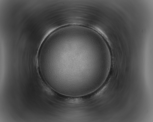 X0000086880891200704161218