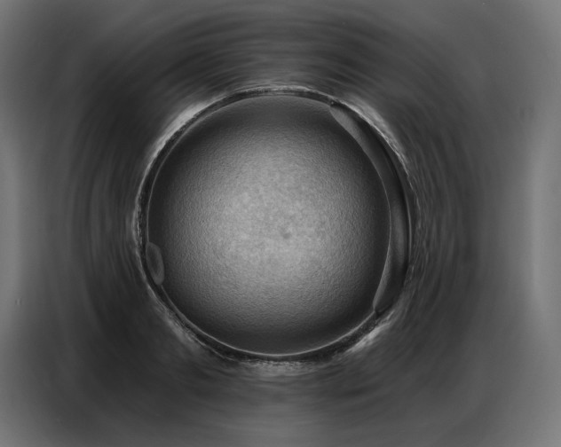 X0000086880893200704161218