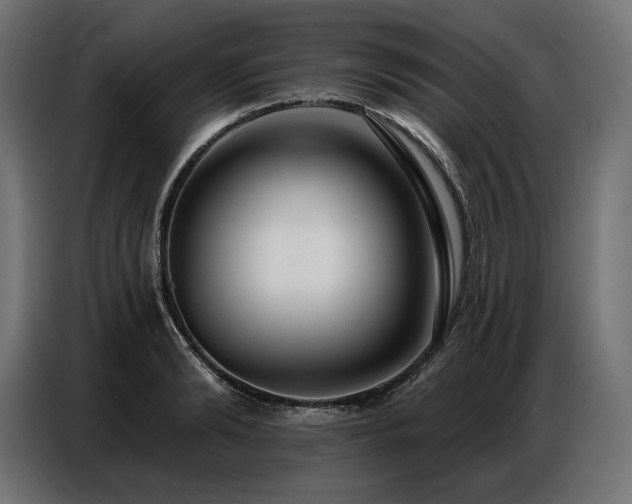 X0000086880894200704161218