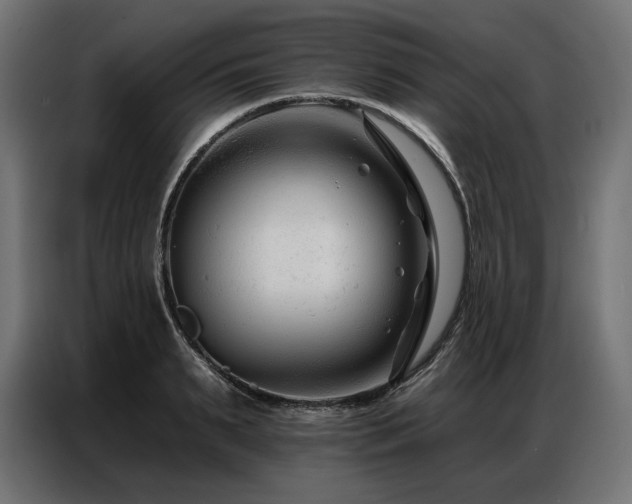 X0000086880895200704161218