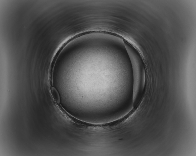 X0000086880896200704161218