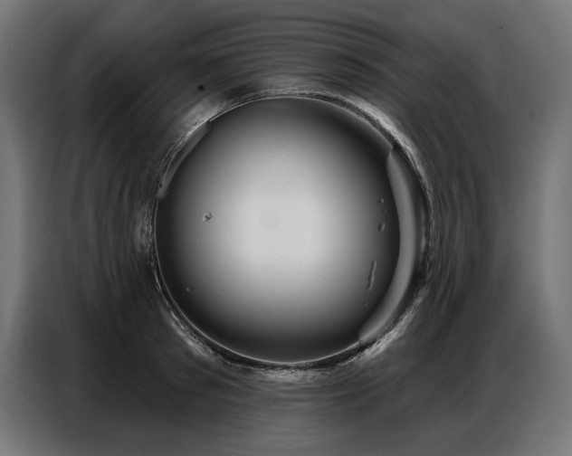 X0000086880897200704161218