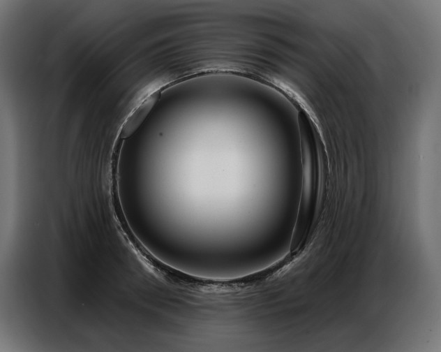 X0000086880898200704161218