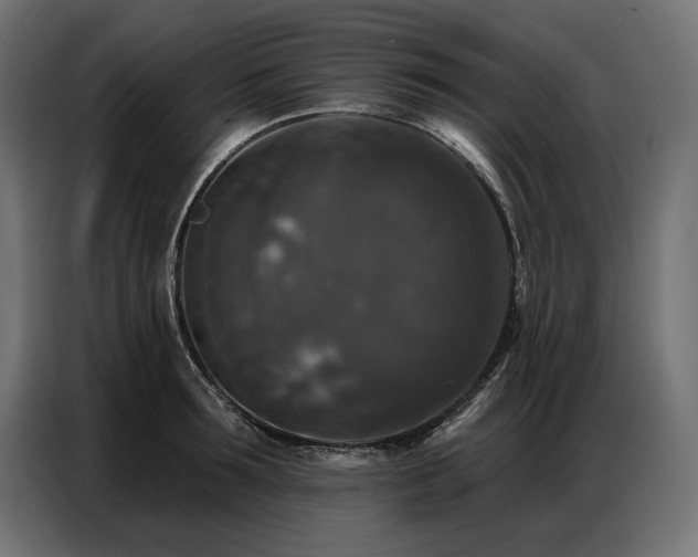 X0000086880899200704161218