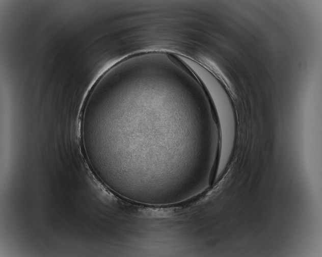 X0000086880900200704161218