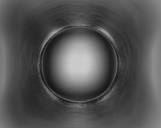 X0000086880901200704161218