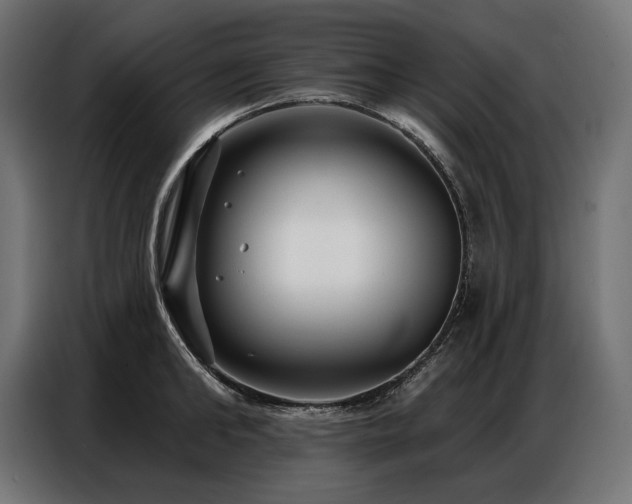 X0000086880902200704161218