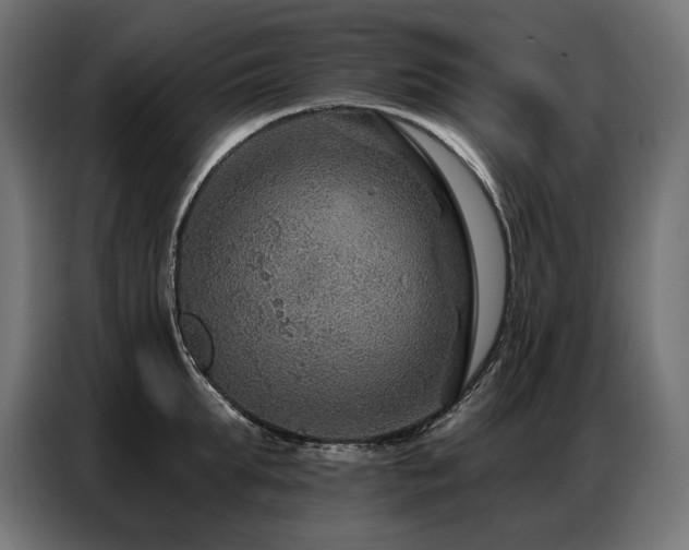 X0000086880903200704161218