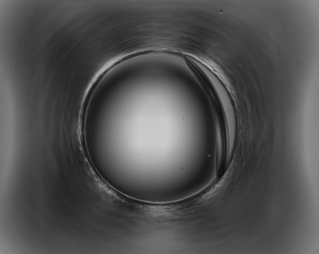 X0000086880904200704161218