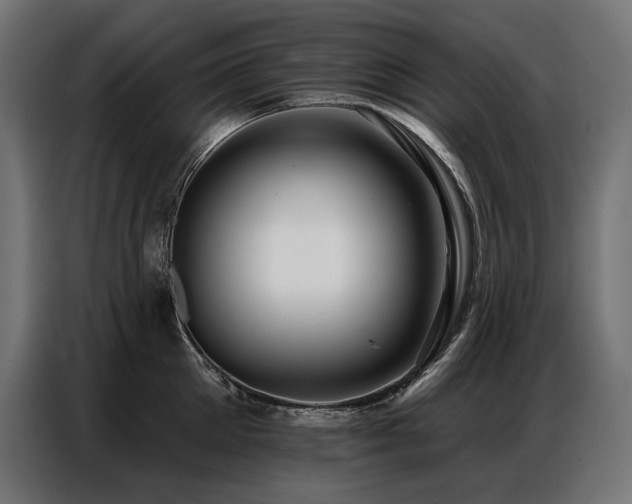 X0000086880905200704161218