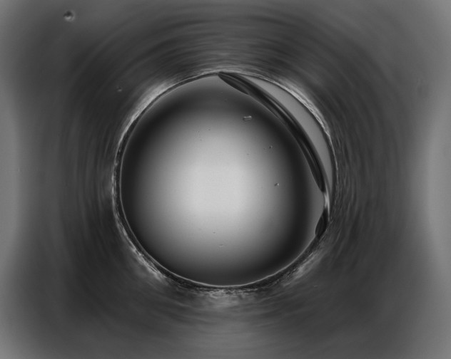 X0000086880906200704161218