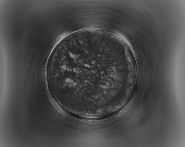 X0000086880907200704161218