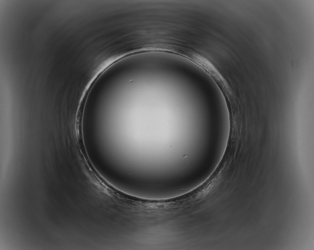 X0000086880908200704161218