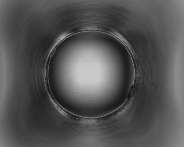 X0000086880909200704161218