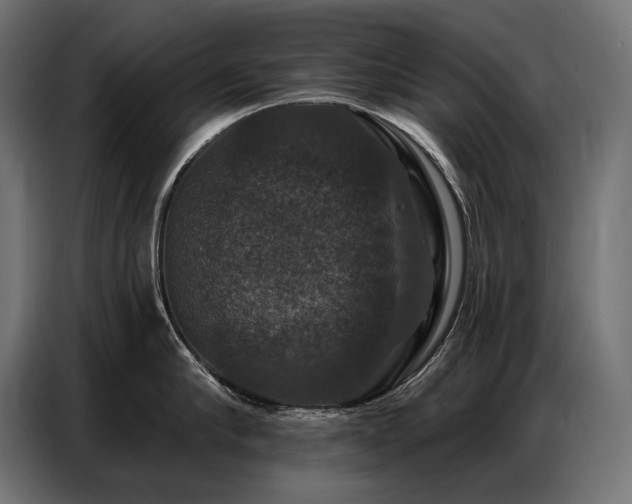 X0000086880910200704161218