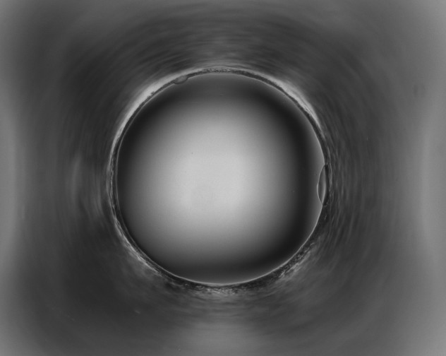 X0000086880911200704161218