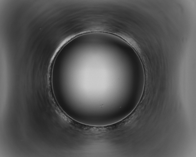 X0000086880912200704161218