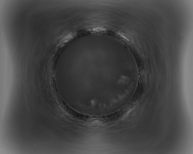 X0000086880913200704161217