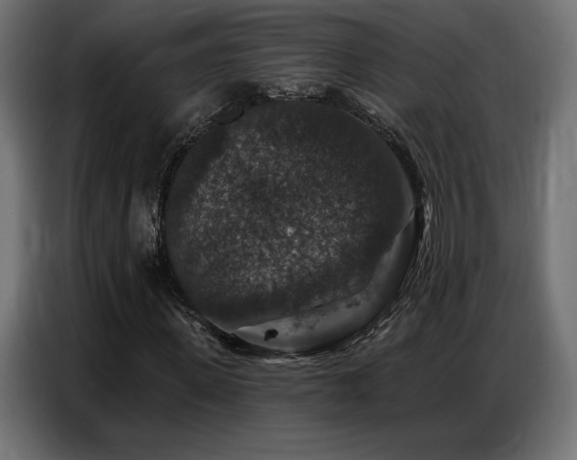 X0000086880915200704161217