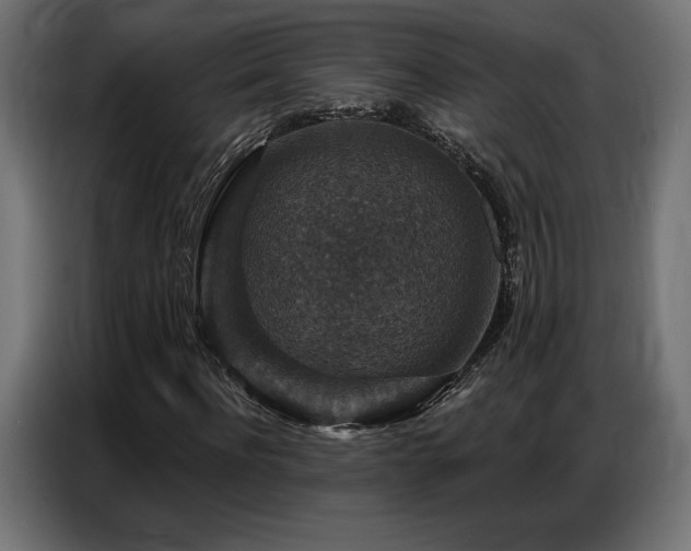 X0000086880916200704161217