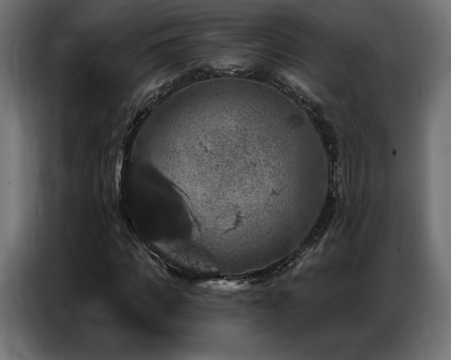 X0000086880917200704161217