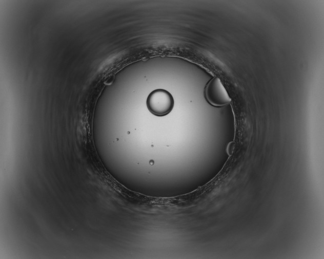 X0000086880918200704161217