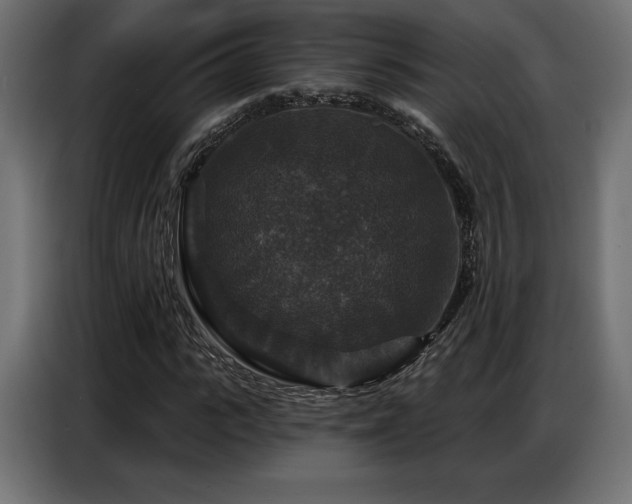 X0000086880919200704161217