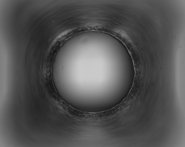 X0000086880920200704161217