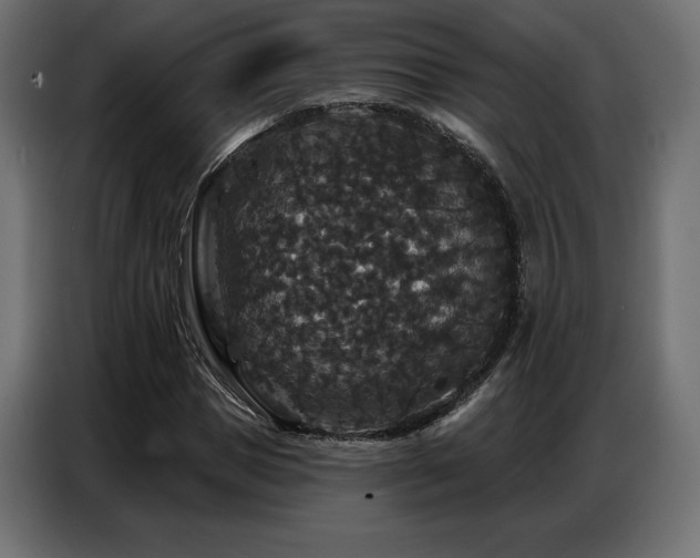 X0000086880921200704161217