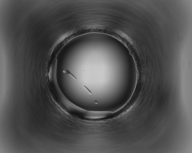 X0000086880922200704161217