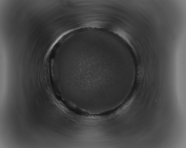 X0000086880923200704161217